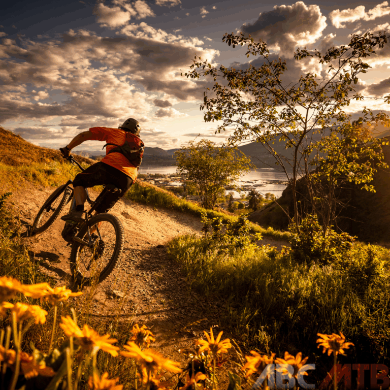 Una persona di spalle su una mountain bike mentre percorre un percorso sterrato con montagne come sfondo